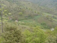 DSC00086.JPG