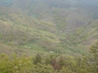DSC00085.JPG