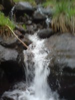 DSC00062.JPG