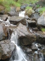 DSC00060.JPG