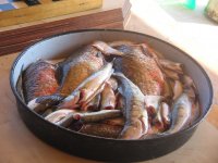 IMG_3898.JPG