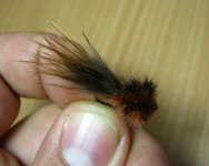 Woolhead fly.jpg
