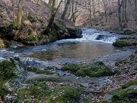 SDC12371.JPG