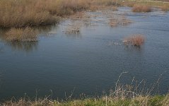 SDC12407.JPG