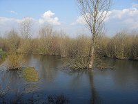 SDC17271.JPG