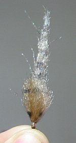 255.jpg