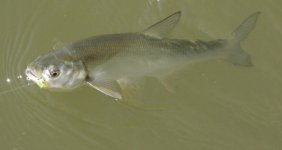 IMG_3828.jpg