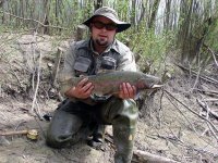 54cm Rainbow Trout.jpg