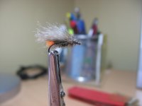 IMG_0035.jpg