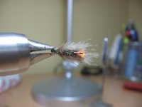 IMG_0039.jpg