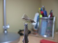 IMG_0036.jpg