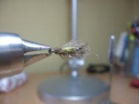 IMG_0037.jpg