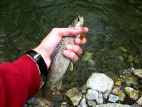 IMG_3992.jpg