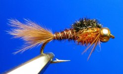 BH Pheasant tail 1.jpg