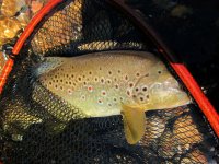 IMG_1120-2web.jpg