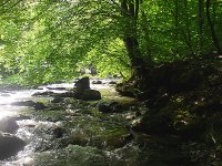 SDC17801.JPG