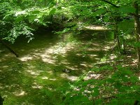 SDC17811.JPG
