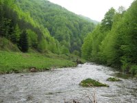 naše stvari 251.jpg