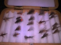 2011-05-15_18-14-52_104.jpg