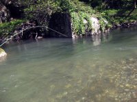 IMG_4123.JPG