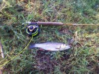 2011-06-05 07.41.35.jpg