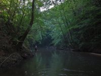 IMG_1193web.jpg