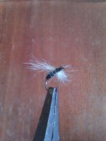 IMAG0332.jpg