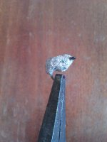 IMAG0333.jpg