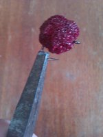 IMAG0334.jpg