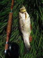 IMG_2551manji.jpg