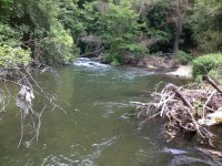 120620111445.jpg