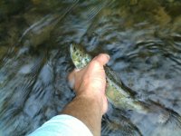 120620111455.jpg