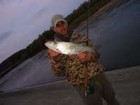 DSC01685.jpg