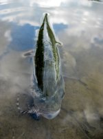 IMG_4340.jpg