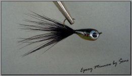 epoxy minnow1.jpg