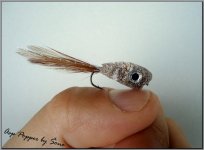 asp popper.jpg