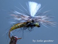 IMG_4476.jpg