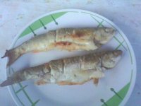 peceni klen.jpg