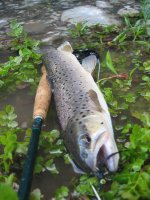 IMG_4100.jpg