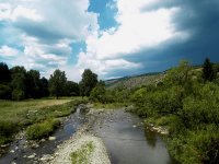 SDC10810.JPG