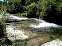 SDC10854.JPG