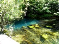 SDC10870.JPG