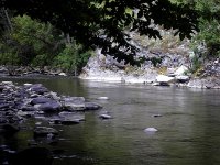 SDC10937.JPG