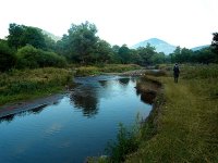SDC10996.JPG