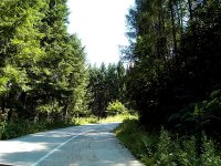 SDC11117.JPG