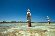 Chasing-Skinny-Water-Bonefish-(Stephan-Dombaj).jpg