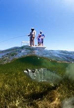 Straight-Ahead---Tarpon-and-Boat-(Stephan-Dombaj-2011).jpg