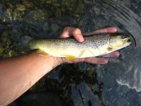 IMG_3107.jpg