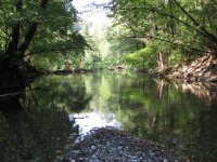 IMG_3110.jpg