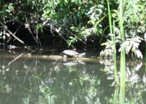 IMG_3028.JPG